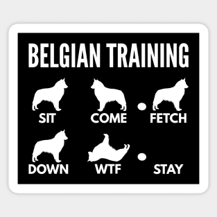 Belgian Training Belgian Sheepdog Tricks Sticker